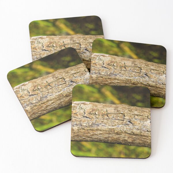 Item preview, Close-Up Of Weathered Tree Bark Texture On A Fallen Log In A Green Forest Background designed and sold by Nmallia.