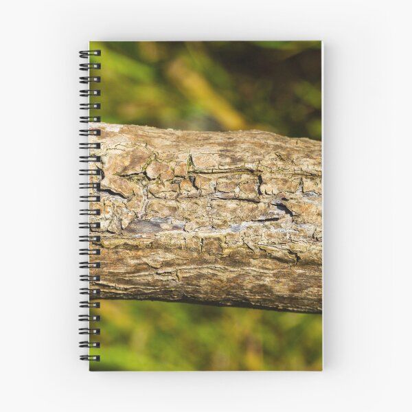 Item preview, Close-Up Of Weathered Tree Bark Texture On A Fallen Log In A Green Forest Background designed and sold by Nmallia.