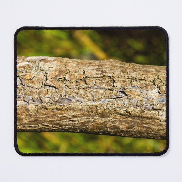 Item preview, Close-Up Of Weathered Tree Bark Texture On A Fallen Log In A Green Forest Background designed and sold by Nmallia.