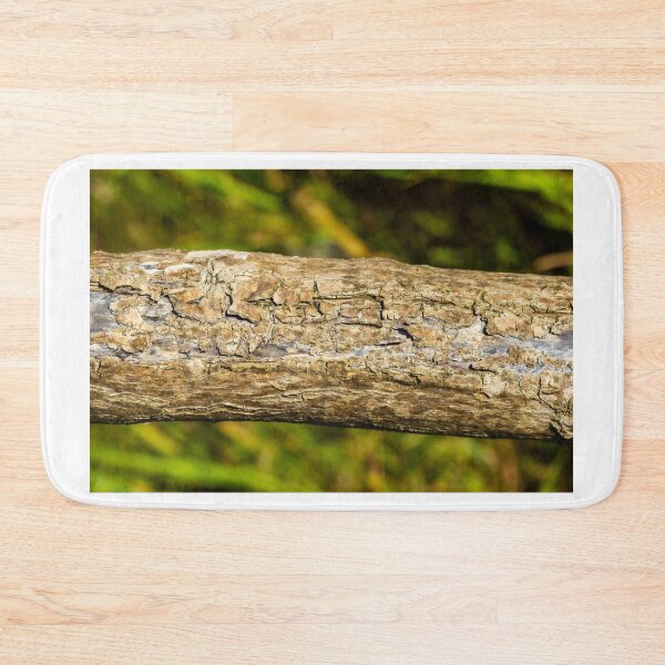 Item preview, Close-Up Of Weathered Tree Bark Texture On A Fallen Log In A Green Forest Background designed and sold by Nmallia.