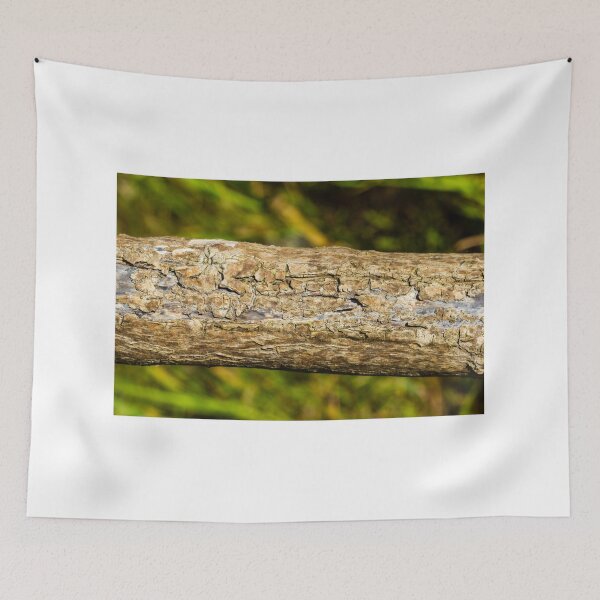 Item preview, Close-Up Of Weathered Tree Bark Texture On A Fallen Log In A Green Forest Background designed and sold by Nmallia.