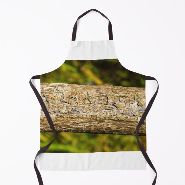 Item preview, Close-Up Of Weathered Tree Bark Texture On A Fallen Log In A Green Forest Background designed and sold by Nmallia.