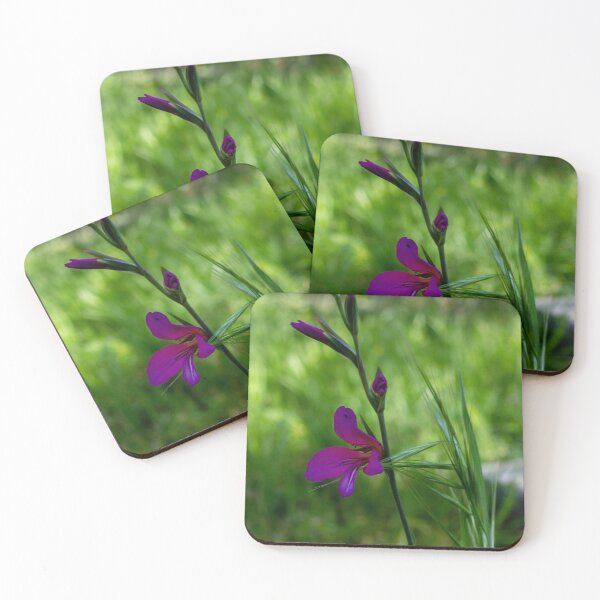 Item preview, Purple Wildflower Blooming Among Green Grass With Soft Bokeh Background In Spring Garden designed and sold by Nmallia.