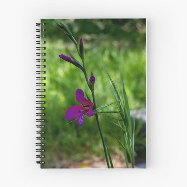 Item preview, Purple Wildflower Blooming Among Green Grass With Soft Bokeh Background In Spring Garden designed and sold by Nmallia.