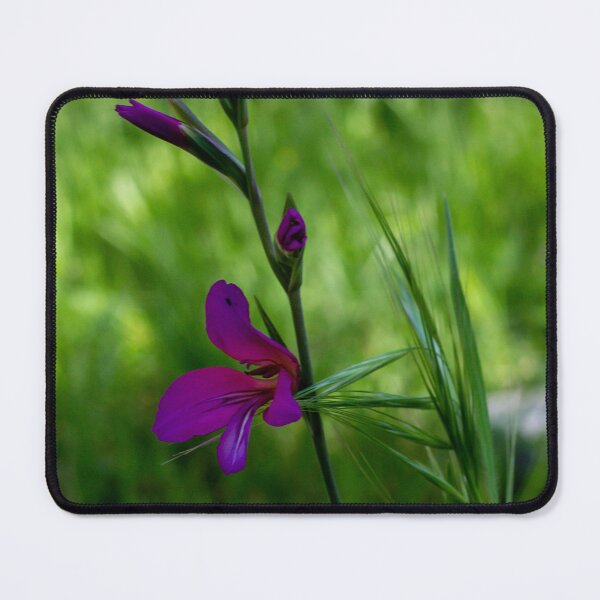 Item preview, Purple Wildflower Blooming Among Green Grass With Soft Bokeh Background In Spring Garden designed and sold by Nmallia.