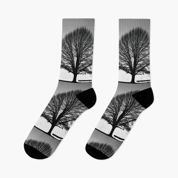 Artikelvorschau, Art - Bare Tree, Formal Purity in Black and White entworfen und verkauft von Reverso-Design.