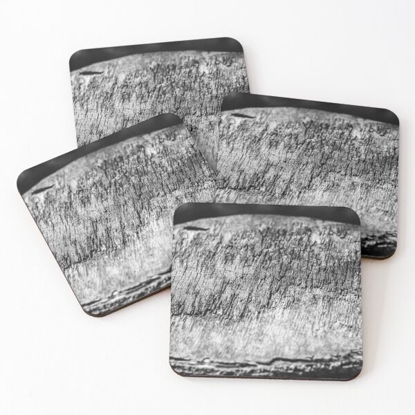 Item preview, Black And White Close-Up Of Weathered Wood Stump Texture Showing Rough Grain And Cracks designed and sold by Nmallia.