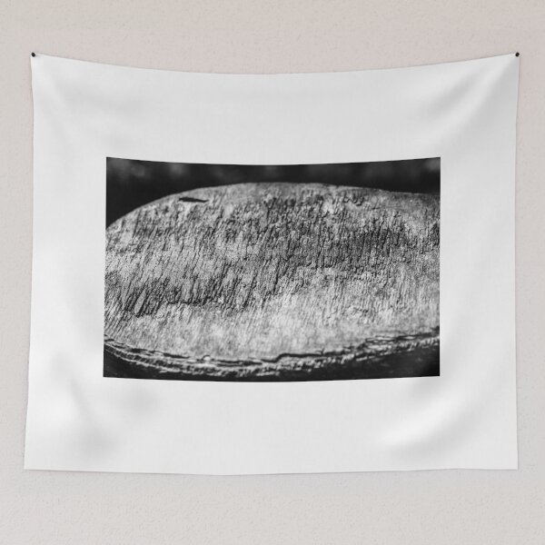 Item preview, Black And White Close-Up Of Weathered Wood Stump Texture Showing Rough Grain And Cracks designed and sold by Nmallia.