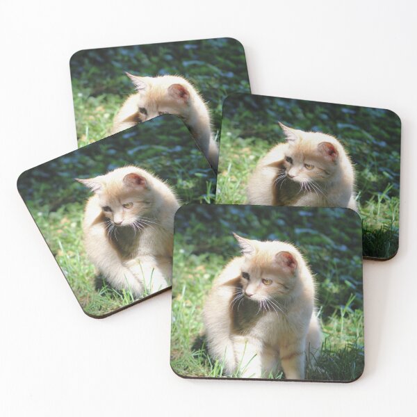 Item preview, In a bright spot  designed and sold by McFleur's Lens.