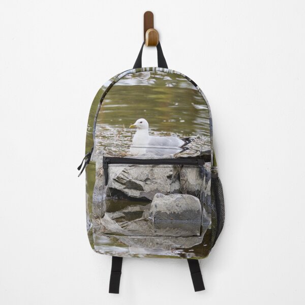 Item preview, Nido. Gaviota común. Primavera de 2026. designed and sold by Jouko Lehto Photography.