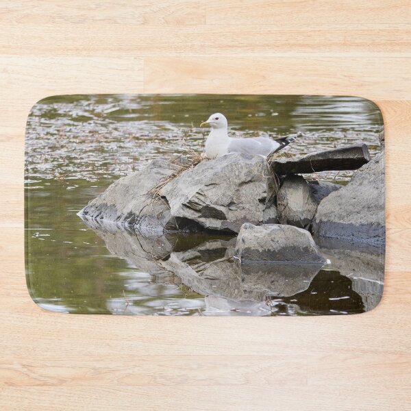 Item preview, Nest. Common gull Spring 2026 designed and sold by Jouko Lehto Photography.