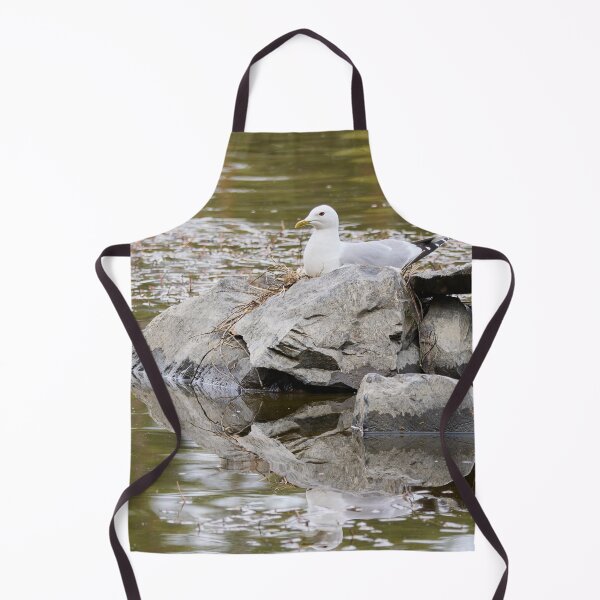 Item preview, Nest. Common gull Spring 2026 designed and sold by Jouko Lehto Photography.