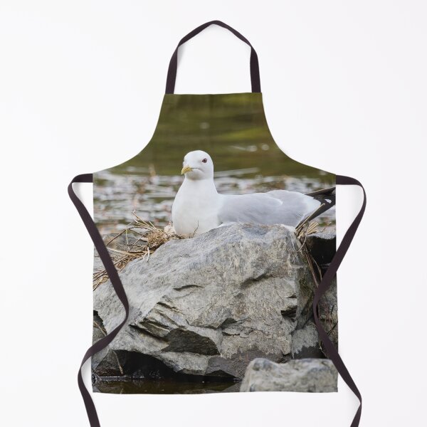 Item preview, Hard nest. Common gull Spring 2026 designed and sold by Jouko Lehto Photography.