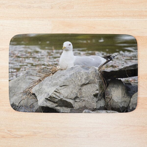 Item preview, Hard nest. Common gull Spring 2026 designed and sold by Jouko Lehto Photography.