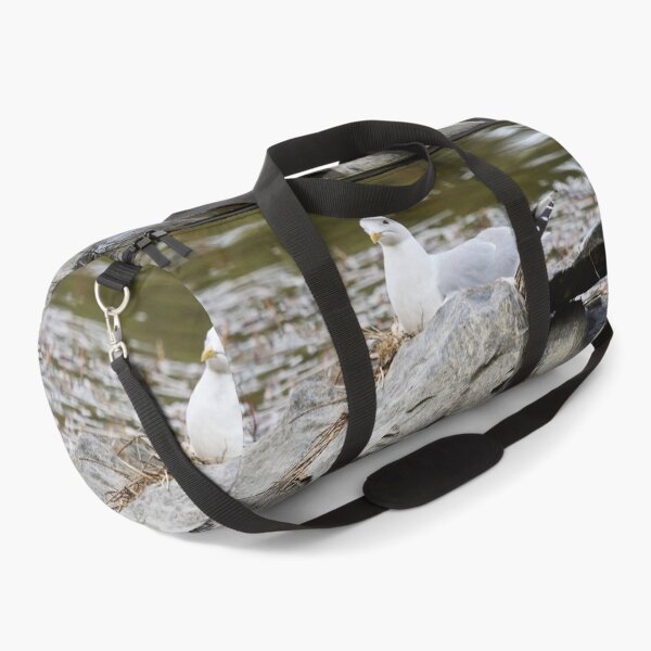Item preview, Hard nest. Common gull Spring 2026 designed and sold by Jouko Lehto Photography.