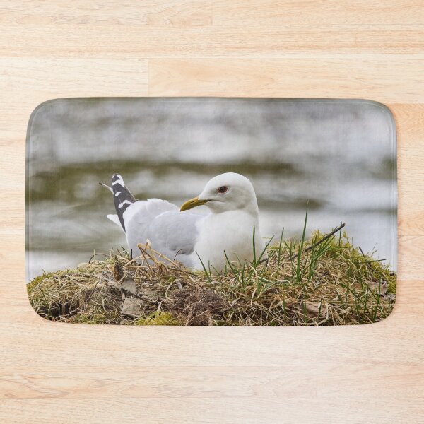 Item preview, Soft nest. Common gull Spring 2026 designed and sold by Jouko Lehto Photography.