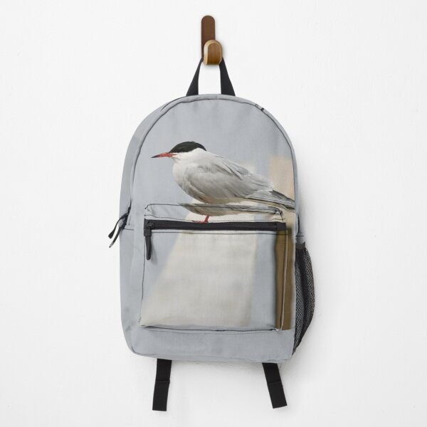 Item preview, Silence. Common tern. Spring 2026 designed and sold by Jouko Lehto Photography.