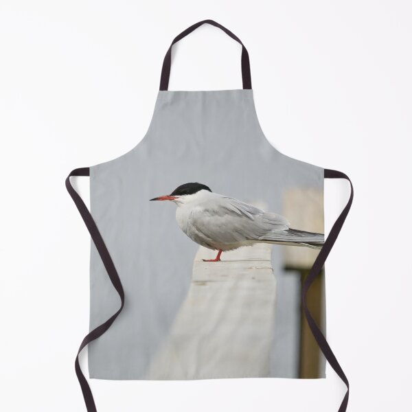 Item preview, Silence. Common tern. Spring 2026 designed and sold by Jouko Lehto Photography.