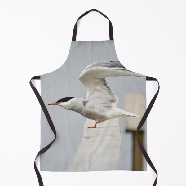 Item preview, Stretching. Common tern. Spring 2026 designed and sold by Jouko Lehto Photography.