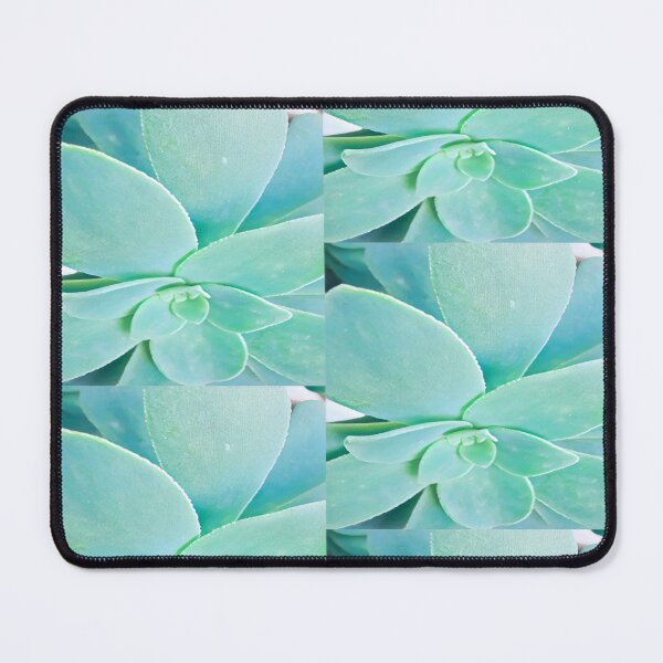 Item preview, Minimalist Mint Green Succulent Digital Painting Art designed and sold by BalkanBloom.