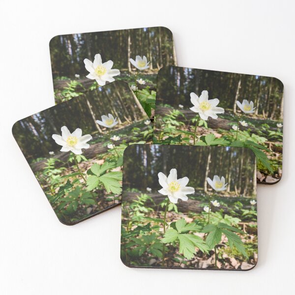 Item preview, White flowers. Wood anemone designed and sold by Jouko Lehto Photography.