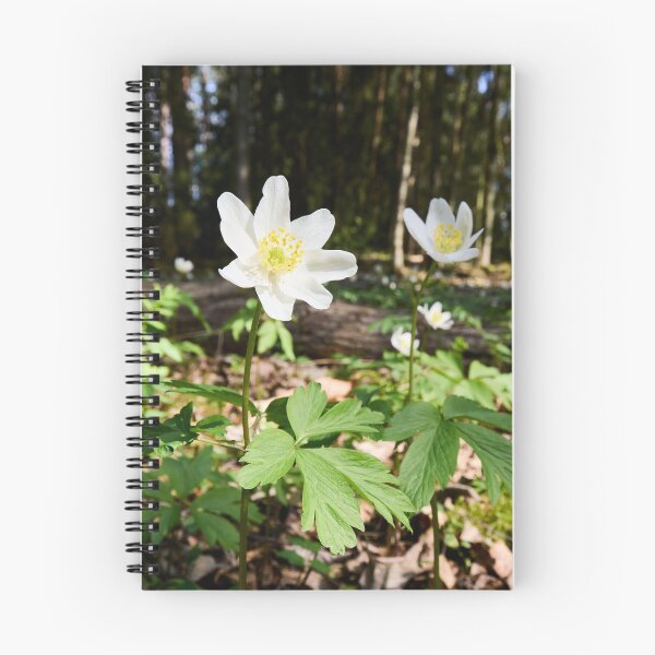 Item preview, White flowers. Wood anemone designed and sold by Jouko Lehto Photography.