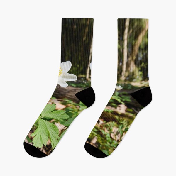 Item preview, White flowers. Wood anemone designed and sold by Jouko Lehto Photography.