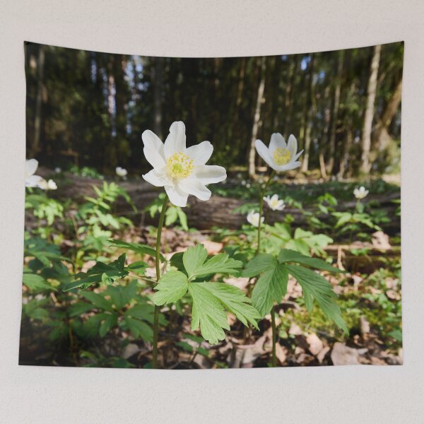 Item preview, White flowers. Wood anemone designed and sold by Jouko Lehto Photography.