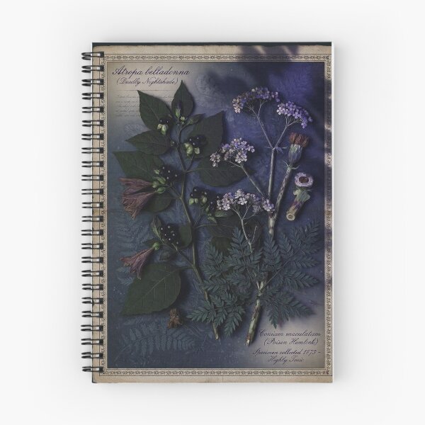 Item preview, Victorian Poisonous Plants Dark Botanical Specimen Chart - Belladonna Hemlock Mandrake Illustration - Dark Academia Witchy Herb Print - Apothecary Vintage Wall Art designed and sold by WitchyBotanicaArt.