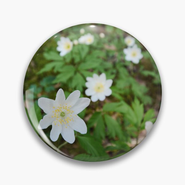 Item preview, White line. Wood anemone designed and sold by Jouko Lehto Photography.
