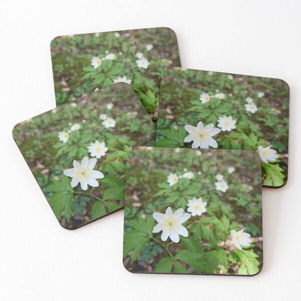 Item preview, White line. Wood anemone designed and sold by Jouko Lehto Photography.
