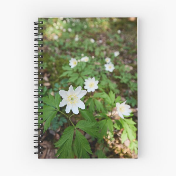 Item preview, White line. Wood anemone designed and sold by Jouko Lehto Photography.