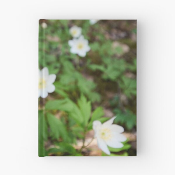 Item preview, White line. Wood anemone designed and sold by Jouko Lehto Photography.