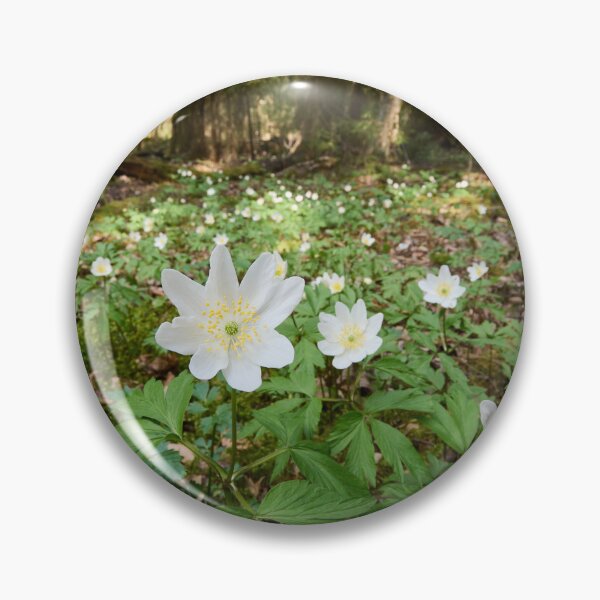 Item preview, Floor of the forest. Wood anemone designed and sold by Jouko Lehto Photography.