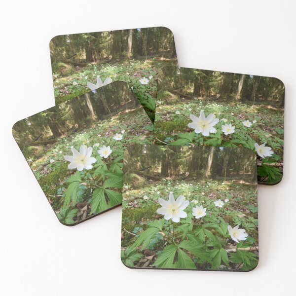 Item preview, Floor of the forest. Wood anemone designed and sold by Jouko Lehto Photography.