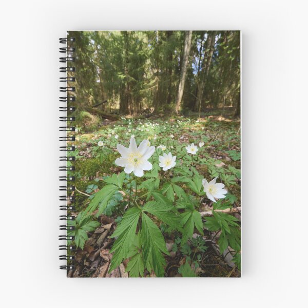 Item preview, Floor of the forest. Wood anemone designed and sold by Jouko Lehto Photography.