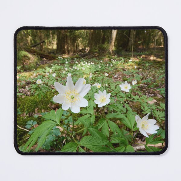 Item preview, Floor of the forest. Wood anemone designed and sold by Jouko Lehto Photography.