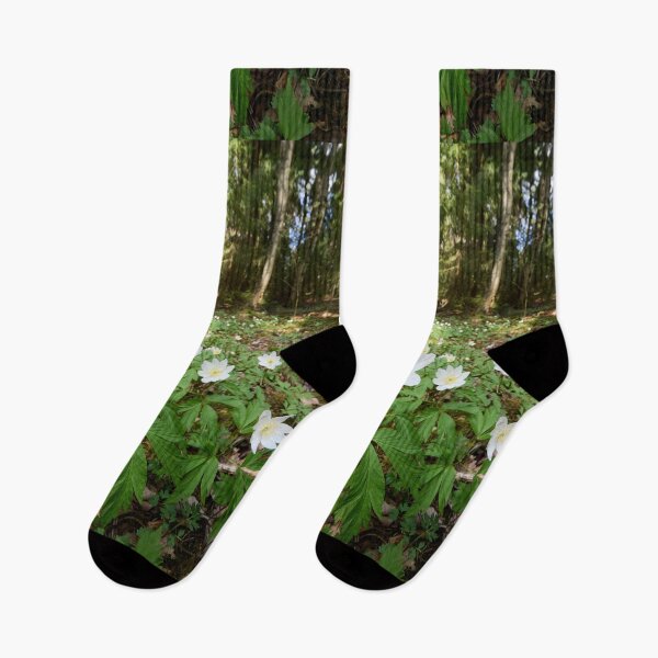 Item preview, Floor of the forest. Wood anemone designed and sold by Jouko Lehto Photography.