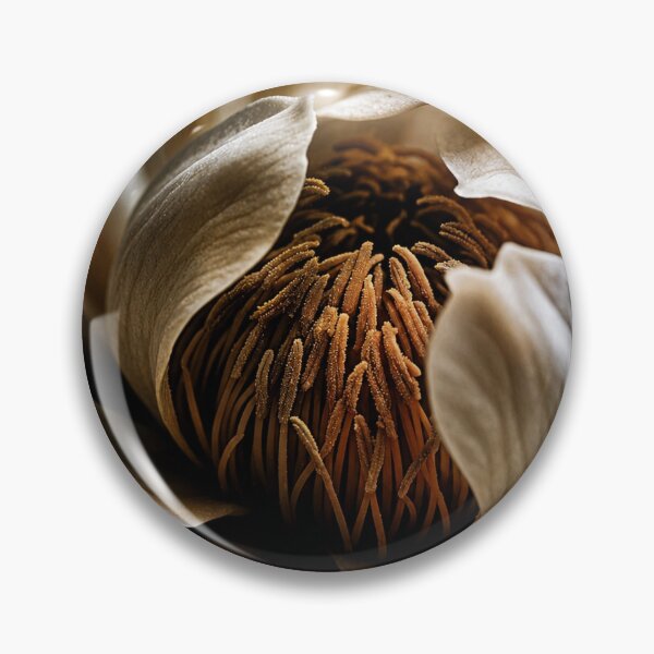 Item preview, The Inner Word Magnolia Blossom - White Flower Macro Photography - Cream Amber Botanical Art - Fine Art Floral Interior - Warm Intimate Nature Print designed and sold by WitchyBotanicaArt.