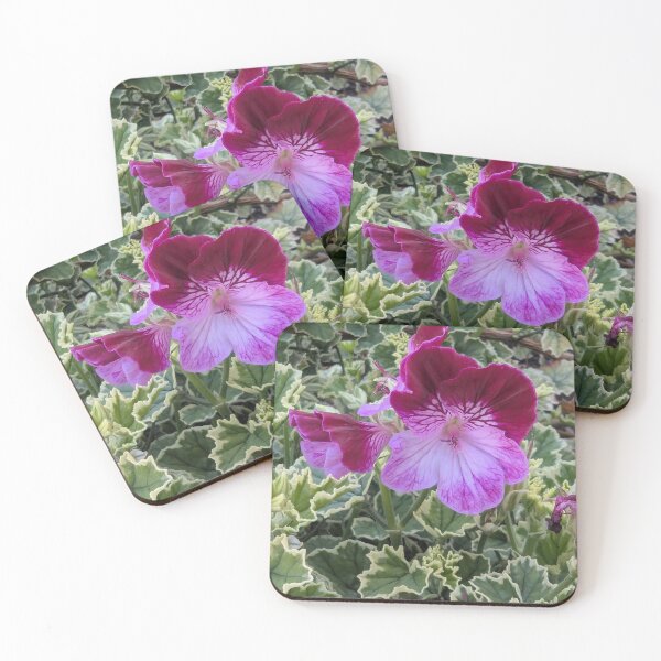 Item preview, Vibrant Garden Flowers Geranium designed and sold by gaohao1.