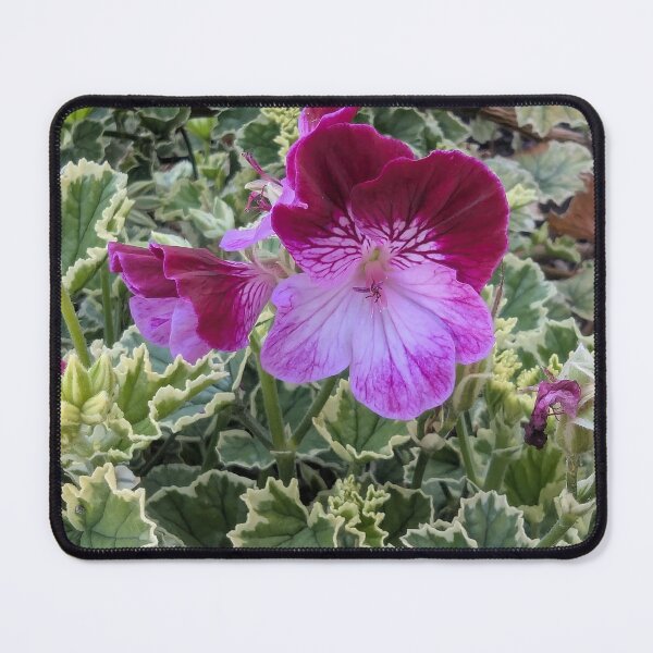 Item preview, Vibrant Garden Flowers Geranium designed and sold by gaohao1.
