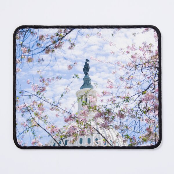 Item preview, Cherry Blossoms at the Capital designed and sold by adalongphoto.