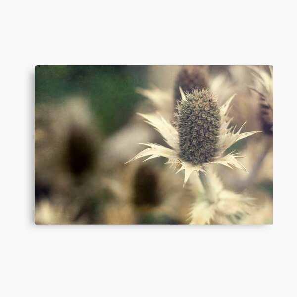 Gone, but not Forgotten Metal Print