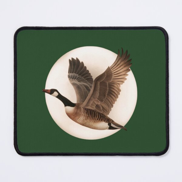 Item preview, Canada goose in flight designed and sold by 123ks.