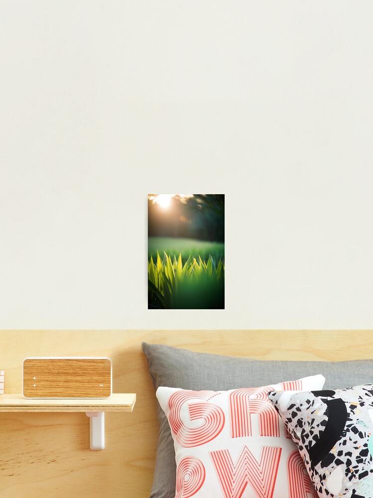 Thumbnail 2 von 3, Fotodruck, Landscape - Blades of Grass, Golden Dawn Light designt und verkauft von Reverso-Design.