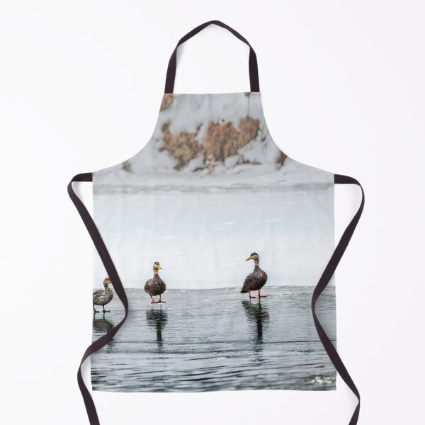 Item preview, Ducks On Ice designed and sold by Jim Love.