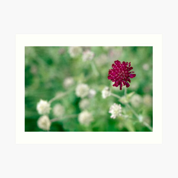 The Power of One Art Print