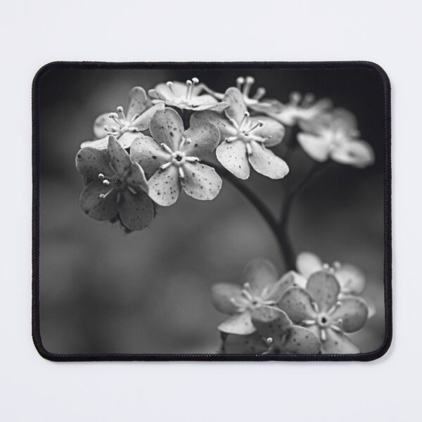 Item preview, Spoiled Petals Black White Flower - Speckled Blossom Cluster Macro Photography - Minimal Monochrome Botanical Art - Fine Art Spring Floral Print - Delicate Nature Gift designed and sold by WitchyBotanicaArt.