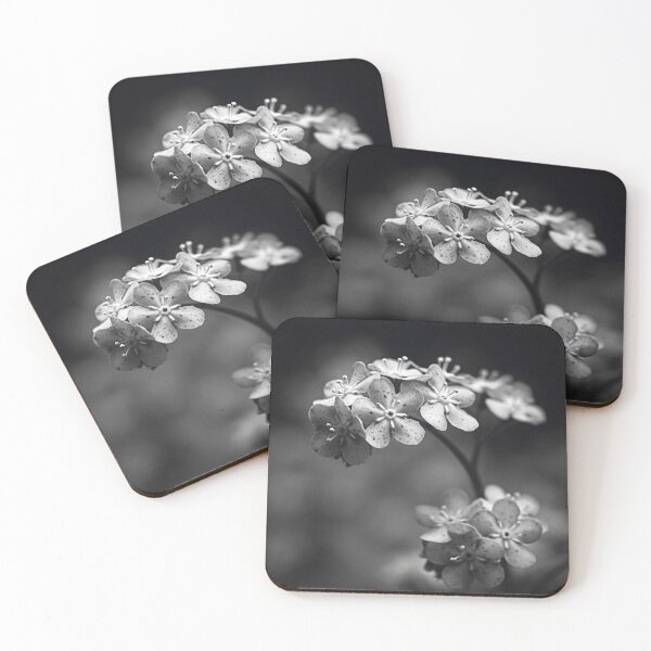 Item preview, Spoiled Petals Black White Flower - Speckled Blossom Cluster Macro Photography - Minimal Monochrome Botanical Art - Fine Art Spring Floral Print - Delicate Nature Gift designed and sold by WitchyBotanicaArt.