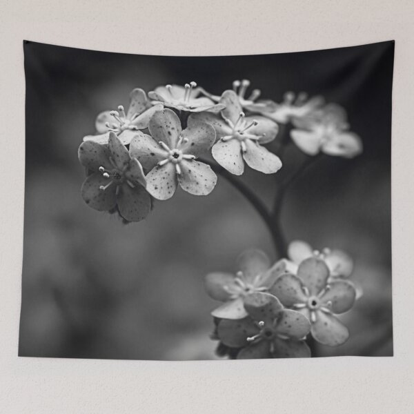 Item preview, Spoiled Petals Black White Flower - Speckled Blossom Cluster Macro Photography - Minimal Monochrome Botanical Art - Fine Art Spring Floral Print - Delicate Nature Gift designed and sold by WitchyBotanicaArt.